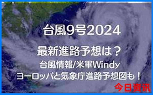 澳彩免费资料大全119期